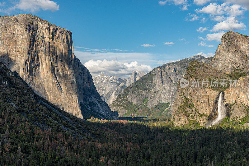 El Capitan &婚纱秋天